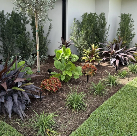 Landscaping and Landscape Design